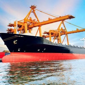 Continental Air Freight Forwarding 수입 수출 회사 호별 운송