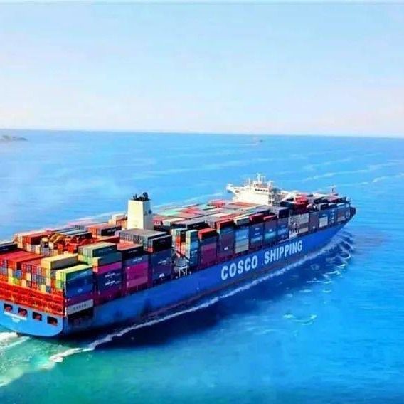 중국에서 이탈리아 네덜란드 스페인으로의 Air Sea Import Freight Forwarding Process