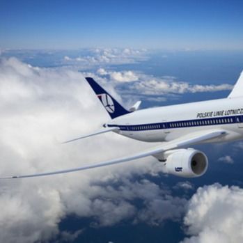 Ups International Air Freight Forwarding Brokers는 중국에서 세계로 운송 서비스를 제공합니다.